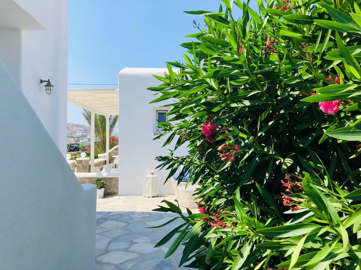 Eleftheria Hotel & Apartments Ornos  Buitenkant foto